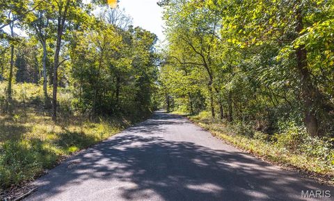 Tiny photo for 5225 Engledow Road, De Soto, MO 63020 (MLS # 25068105)