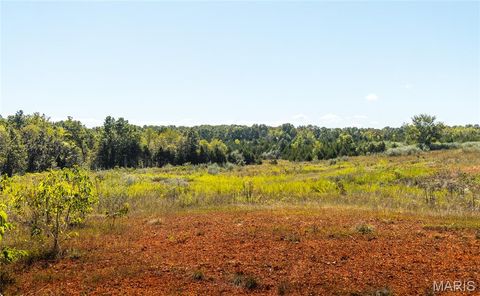 Tiny photo for 5225 Engledow Road, De Soto, MO 63020 (MLS # 25068105)