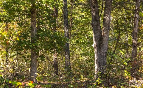 Tiny photo for 5225 Engledow Road, De Soto, MO 63020 (MLS # 25068105)