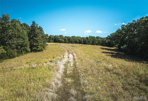 Tiny photo for 5225 Engledow Road, De Soto, MO 63020 (MLS # 25068105)