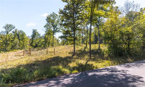 Tiny photo for 5225 Engledow Road, De Soto, MO 63020 (MLS # 25068105)