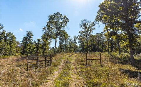Tiny photo for 5225 Engledow Road, De Soto, MO 63020 (MLS # 25068105)