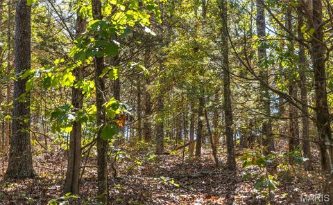 Tiny photo for 5225 Engledow Road, De Soto, MO 63020 (MLS # 25068105)