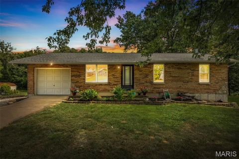 1121 Edgewood Drive Festus MO 63028