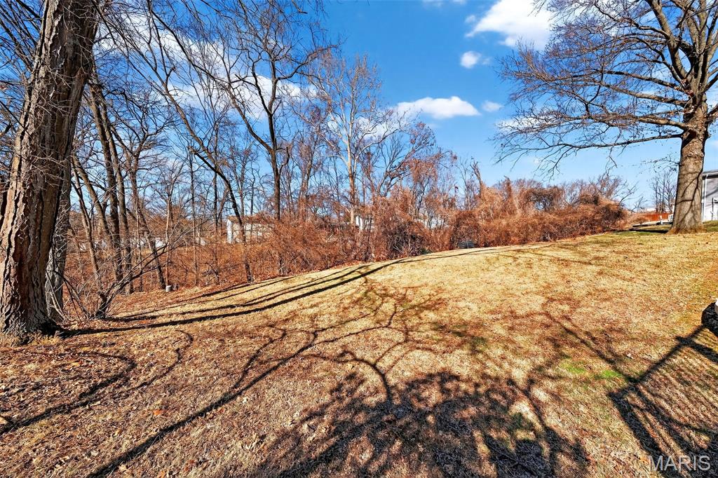 Shenandoah 1 - Residential Lease