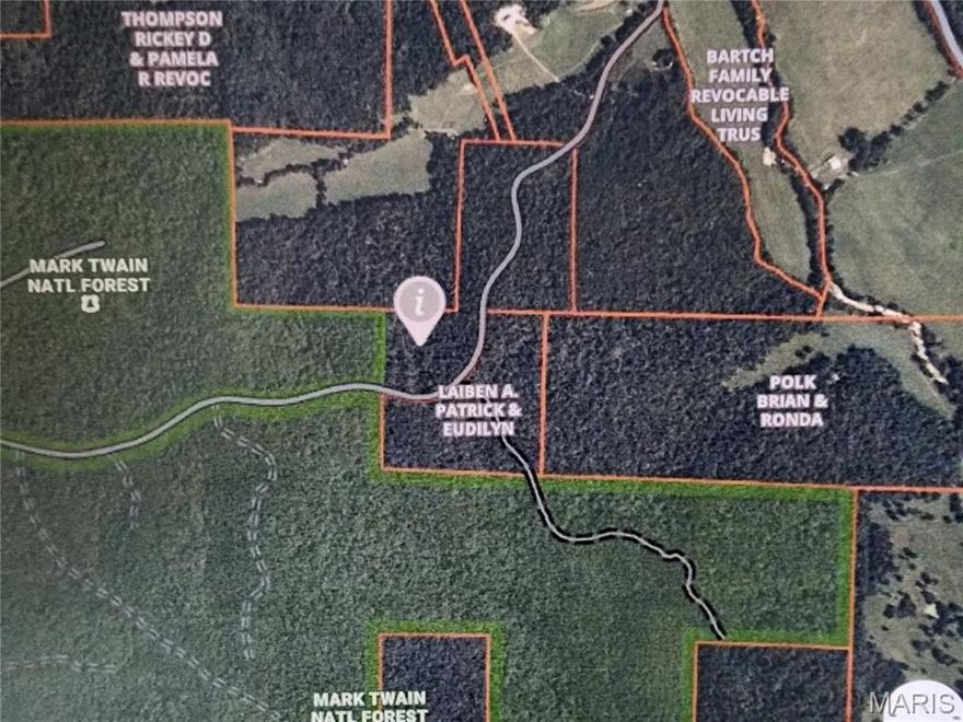 This 39 m/l acre tract borders Mark Twain National forest land on two sides.  Wayne County road 434 runs through it providing road frontage.  There is a forest service road going through the larger tract also.  Electric poles go along CR 434 so getting power to this land is not a major deal.  There are some nice building spots for a home or a hunting cabin.  The recreational and hunting possibilities are endless.  This property is located in close proximity to the St Francis and Black Rivers, Clearwater and Wappapello Lakes, Sam A Baker State park and borders a very large tract of national forest.  Whitetail deer and turkey are abundant as well as other small game.  Schedule your appointment today to view this piece of Ozark country.
