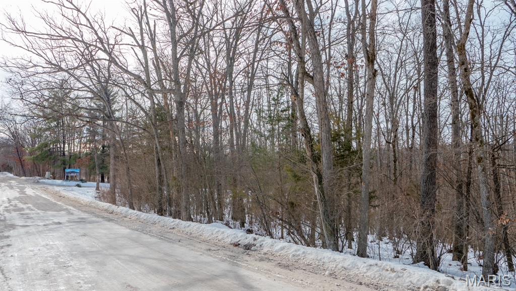 29129 Pinnacle Lake Road