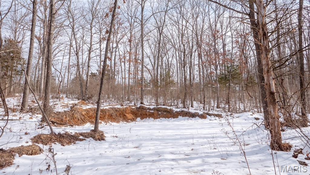 29129 Pinnacle Lake Road