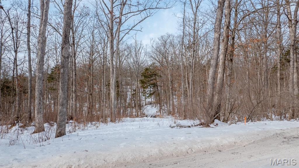 29129 Pinnacle Lake Road