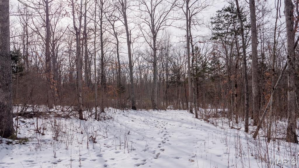 29129 Pinnacle Lake Road