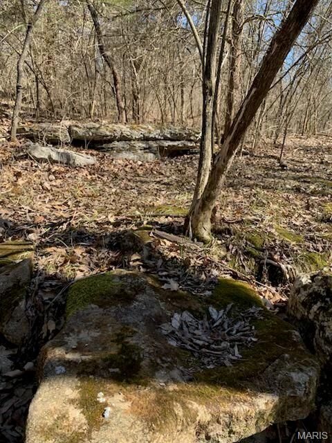 23 Turkey Ridge Court Troy MO 63379