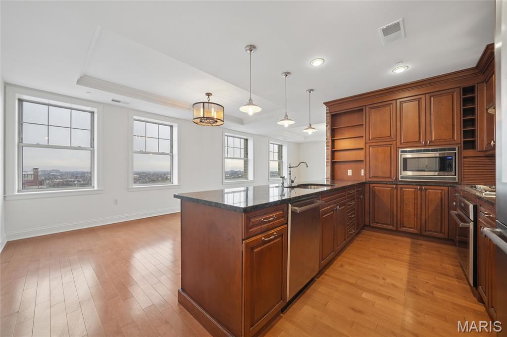 232 N Kingshighway Boulevard 1209