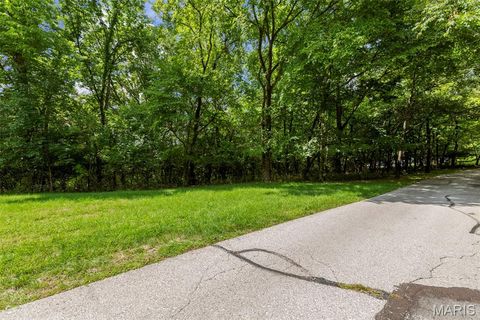 Photo of 18520 Hawks Hill Road, Wildwood, MO 63069 (MLS # 26006145)