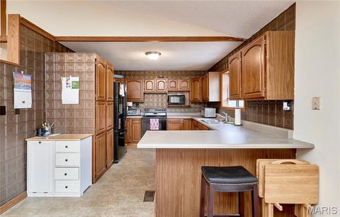 Tiny photo for 209 Timber Ridge Court, Troy, MO 63379 (MLS # 25065928)