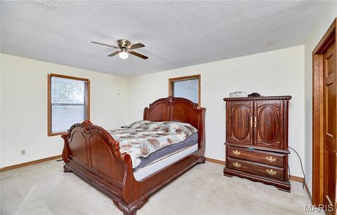 Tiny photo for 209 Timber Ridge Court, Troy, MO 63379 (MLS # 25065928)