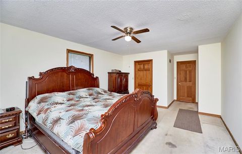 Tiny photo for 209 Timber Ridge Court, Troy, MO 63379 (MLS # 25065928)