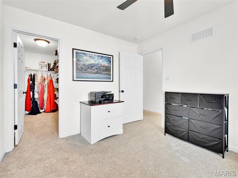 Tiny photo for 936 Little Fieldstone Court, Wentzville, MO 63385 (MLS # 26025782)