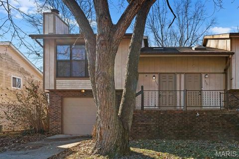 Photo of 315 University Drive, Belleville, IL 62221 (MLS # 25081049)