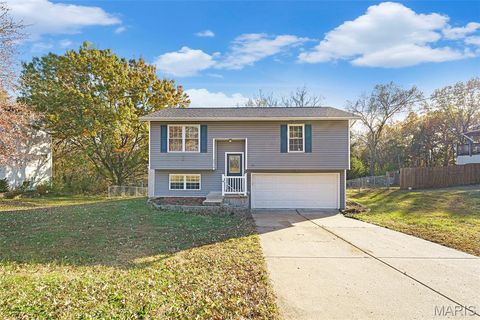 2216 Gregory Drive Pacific MO 63069