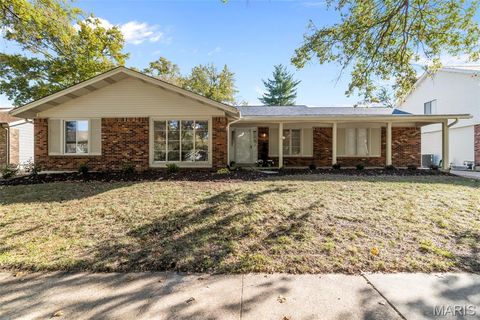 Photo of 15224 Golden Rain Drive, Chesterfield, MO 63017 (MLS # 25074312)