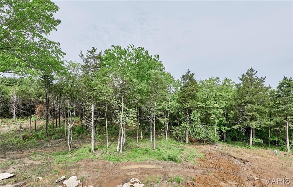 Photo of 22595 Highway O, Wright City, MO 63390 (MLS # 26029175)