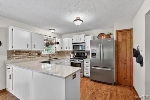Tiny photo for 1014 Holly River Drive, Florissant, MO 63031 (MLS # 26029507)