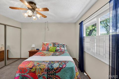 Tiny photo for 1014 Holly River Drive, Florissant, MO 63031 (MLS # 26029507)
