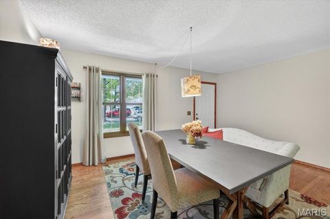 Tiny photo for 1014 Holly River Drive, Florissant, MO 63031 (MLS # 26029507)