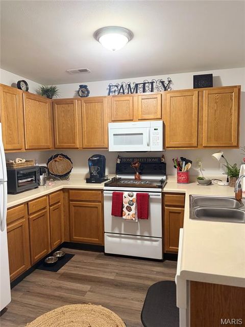 Tiny photo for 955 Trojan Circle, Troy, MO 63379 (MLS # 25069341)