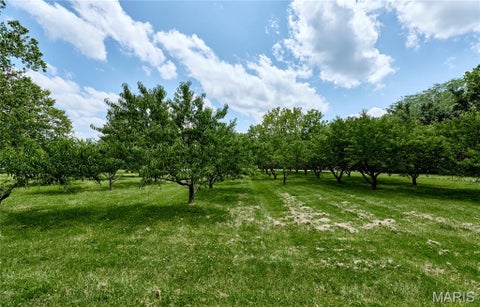 Tiny photo for 107 N Chantilly Road, Winfield, MO 63389 (MLS # 26045725)