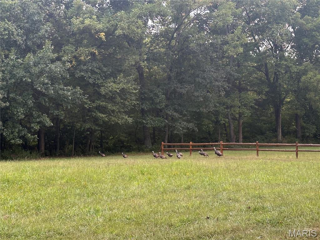 130 Rolling Hills Drive