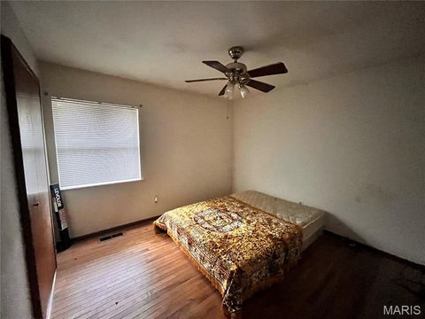 Tiny photo for 4208 Massabielle Drive, St Louis, MO 63129 (MLS # 26017391)