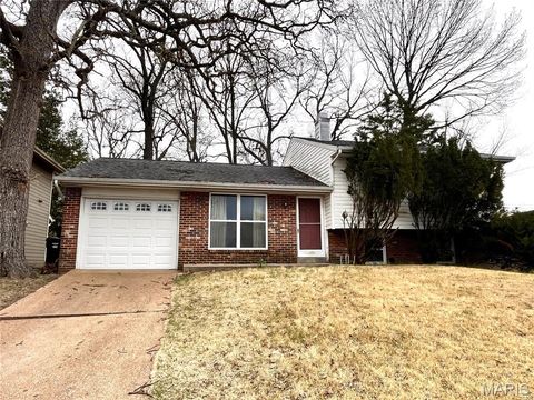 Photo of 4208 Massabielle Drive, St Louis, MO 63129 (MLS # 26017391)