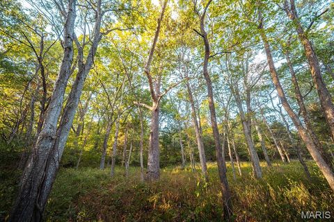 3107 Bouquet Road Wildwood MO 63038