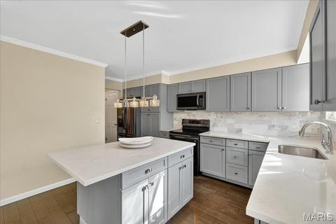Tiny photo for 26 Webster Oaks Drive, St Louis, MO 63119 (MLS # 25065978)