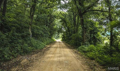 Tiny photo for 22 Camp Rd, Dixon, MO 65459 (MLS # 26041848)