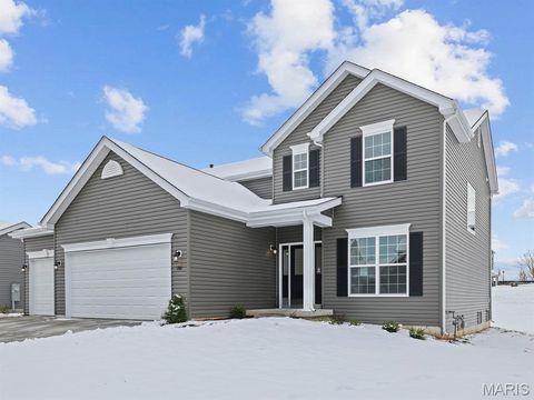 288 Osprey Court Lake St Louis MO 63367