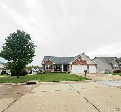 10920 Bailey School Road Festus MO 63028