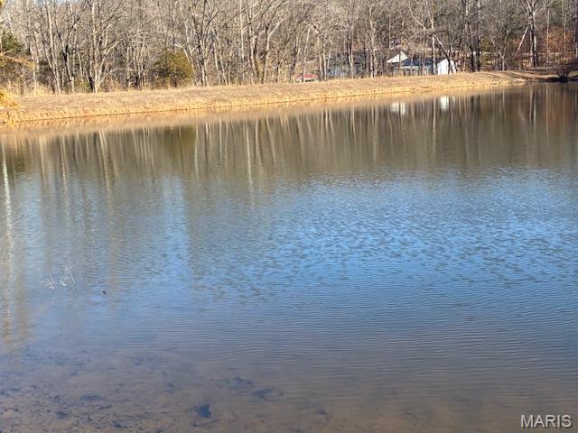 Evergreen Lakes - Land