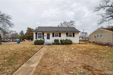 10518 Renfrew Drive St Louis MO 63137