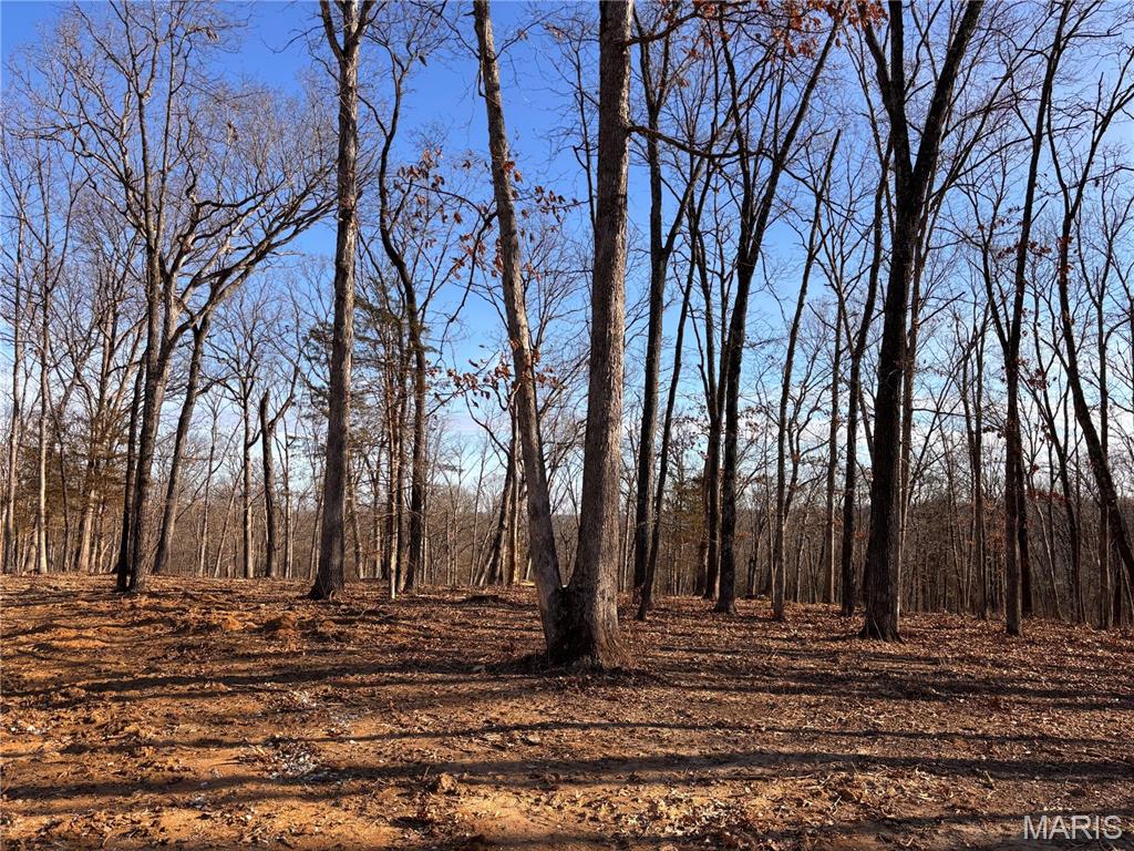 Lot 5 Klausmeier Trails