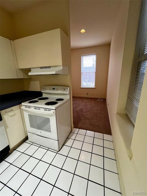Tiny photo for 2317 S 10th Street, St Louis, MO 63104 (MLS # 26012550)