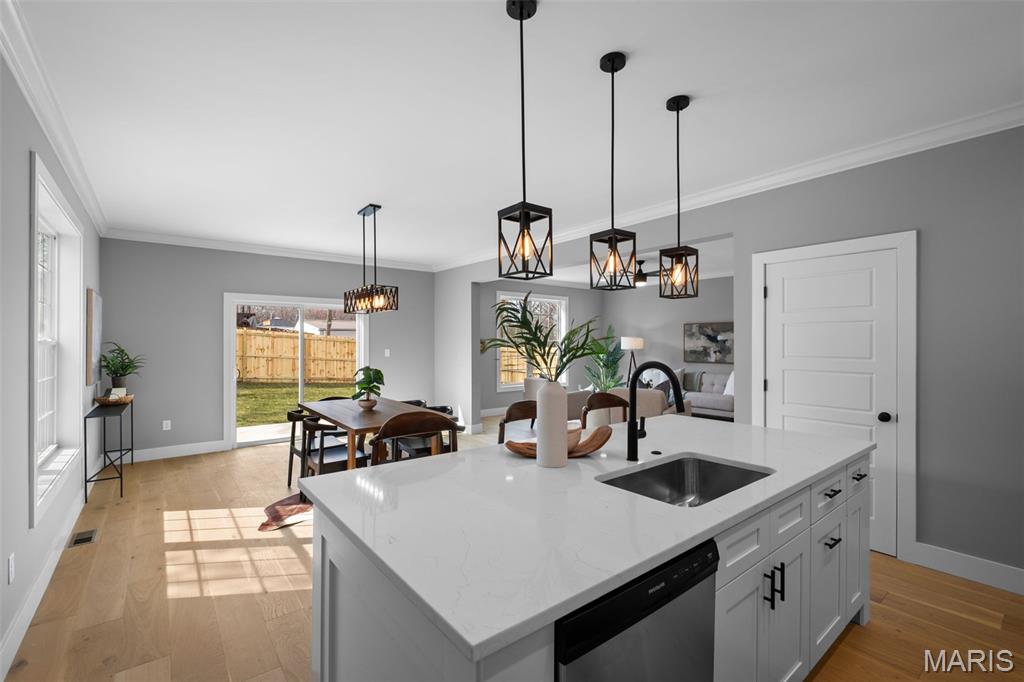 Dogtown - Residential