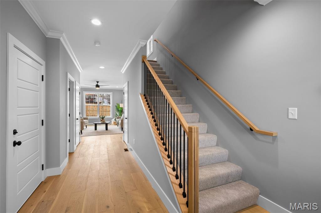 Dogtown - Residential