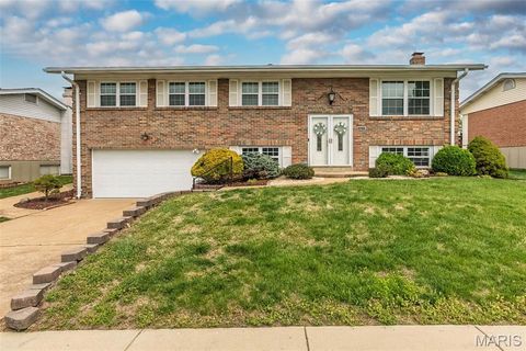 Photo of 3233 Hedgetree Lane, St Louis, MO 63129 (MLS # 26005962)