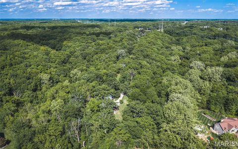 Tiny photo for 19217 Falzone Road, Wildwood, MO 63038 (MLS # 26030186)
