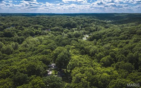 Tiny photo for 19217 Falzone Road, Wildwood, MO 63038 (MLS # 26030186)