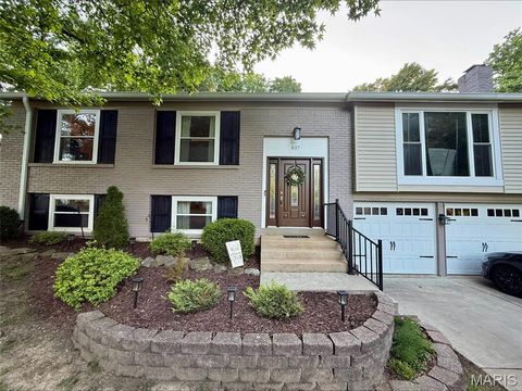 Photo of 837 Pontoison Drive, Manchester, MO 63021 (MLS # 26030844)