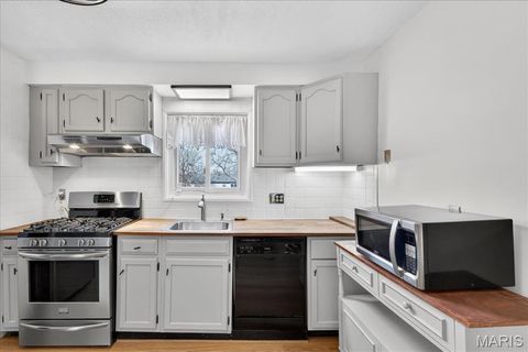 Tiny photo for 109 Lithia Avenue, Webster Groves, MO 63119 (MLS # 26039017)