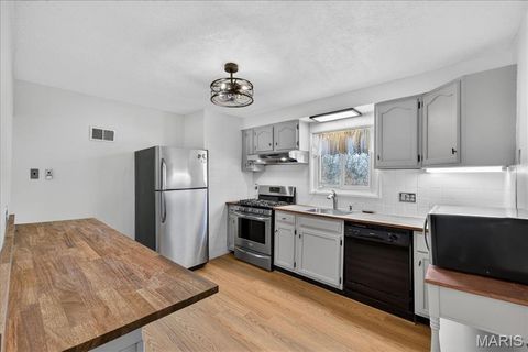 Tiny photo for 109 Lithia Avenue, Webster Groves, MO 63119 (MLS # 26039017)